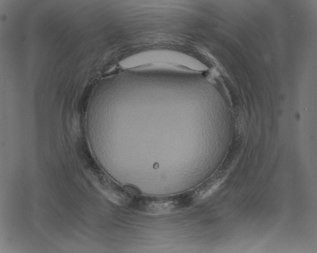 X0000078280213200612011752