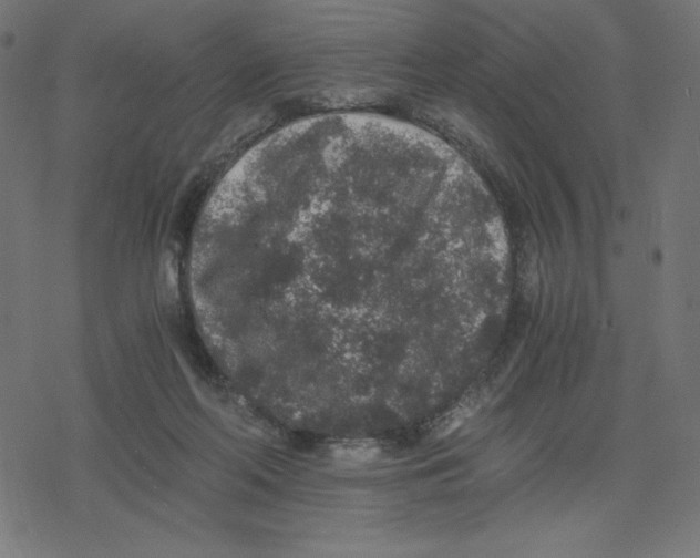 X0000078280214200612011752