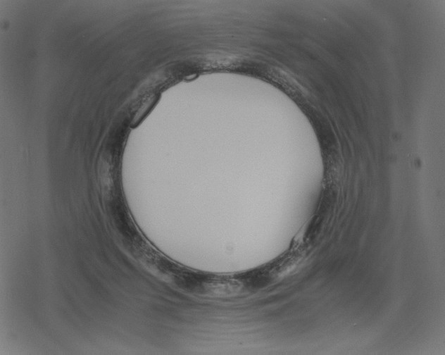 X0000078280215200612011752