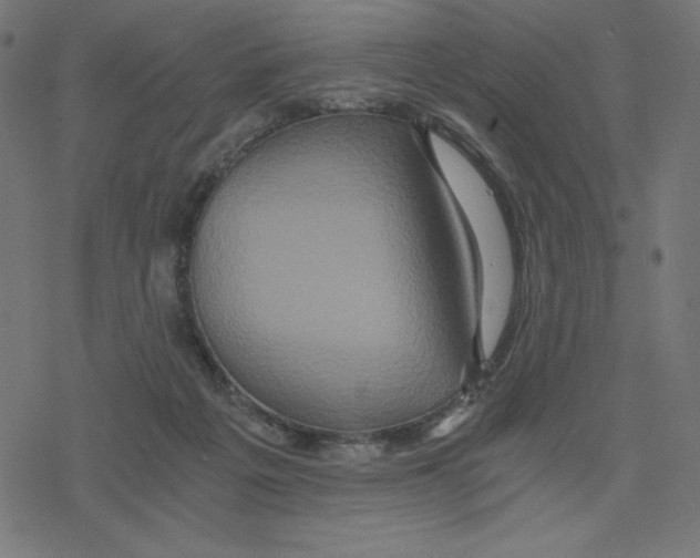 X0000078280217200612011752