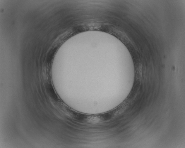 X0000078280218200612011752