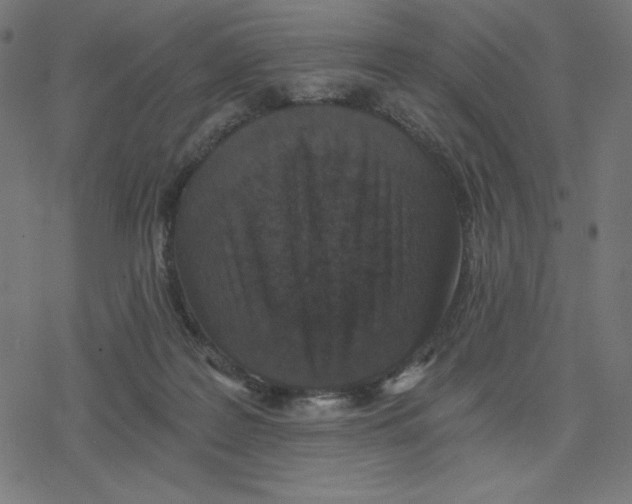 X0000078280219200612011752