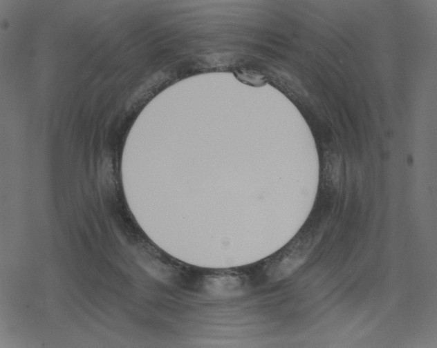 X0000078280220200612011752