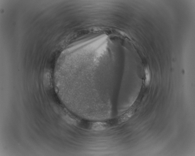 X0000078280222200612011752