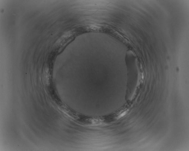 X0000078280223200612011752