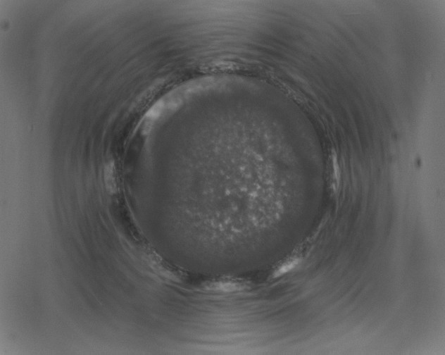 X0000078280224200612011752