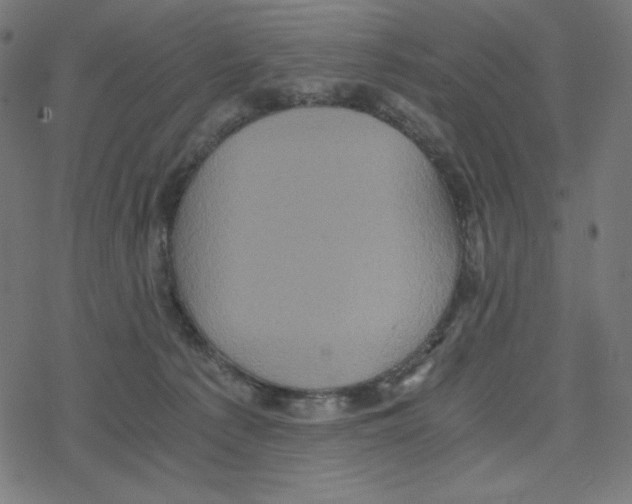 X0000078280225200612011752