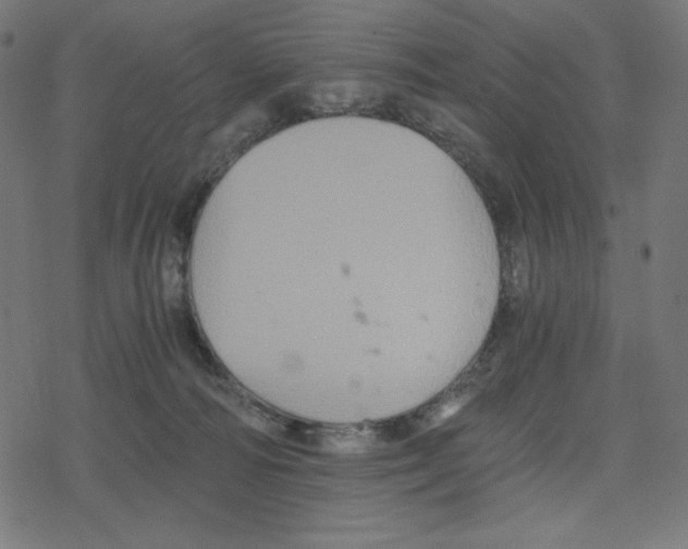 X0000078280226200612011752