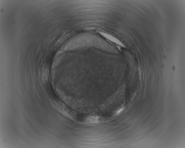 X0000078280227200612011752