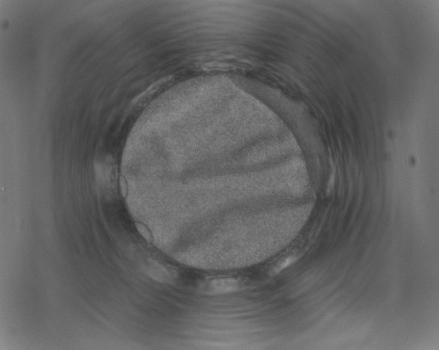 X0000078280228200612011752