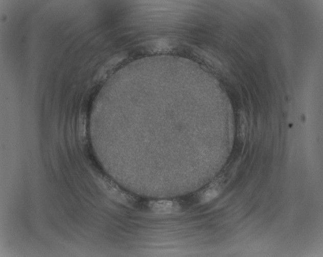 X0000078280230200612011752