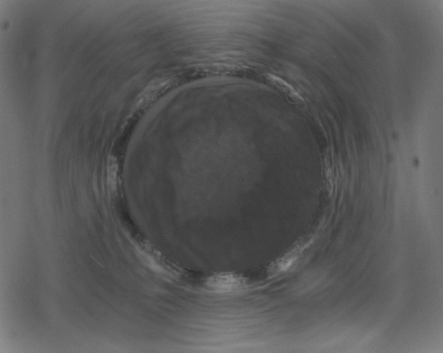 X0000078280231200612011752