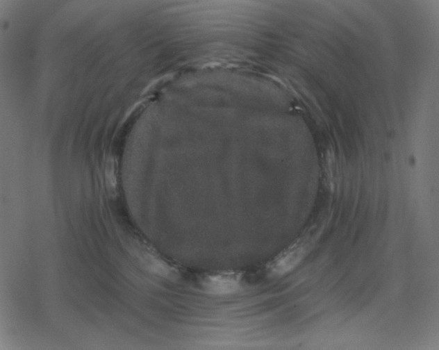 X0000078280232200612011752