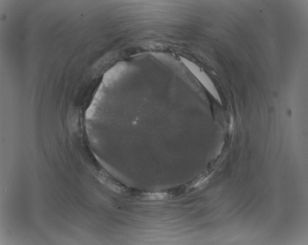 X0000078280233200612011752