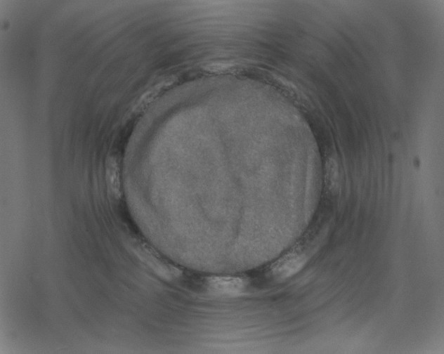 X0000078280234200612011752