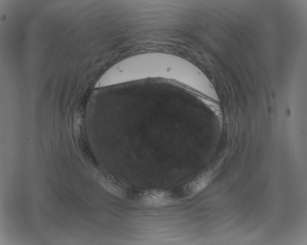 X0000078280235200612011752