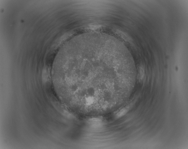 X0000078280236200612011752