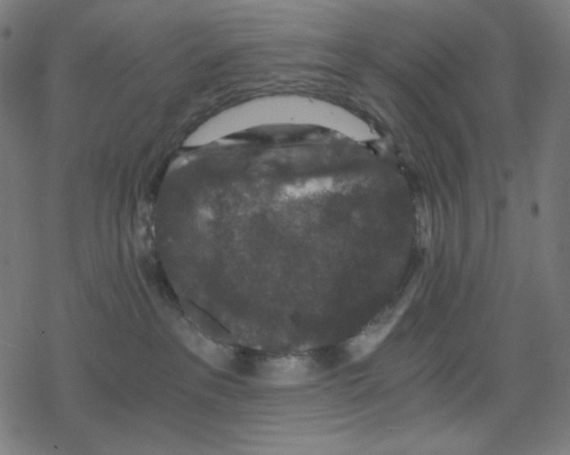 X0000078280237200612011752