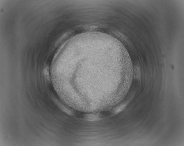 X0000078280238200612011752