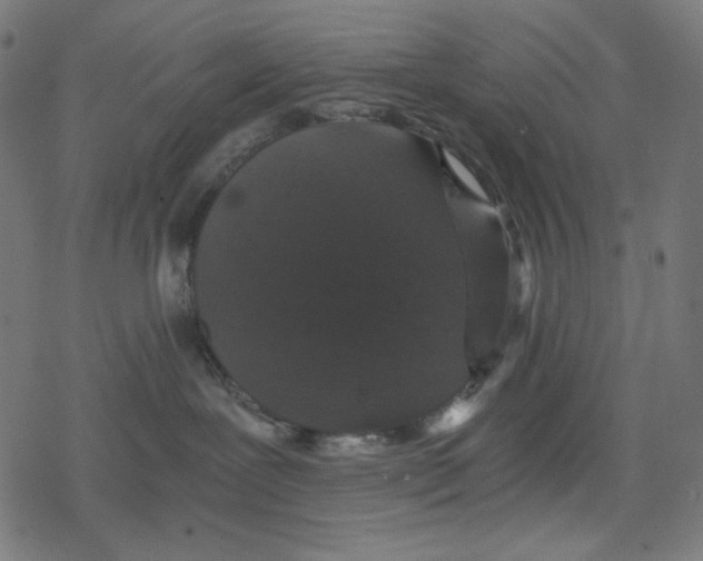 X0000078280239200612011752