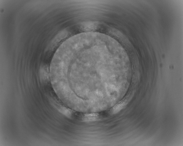 X0000078280240200612011752