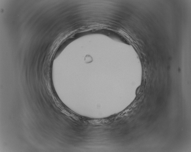 X0000078280241200612011751