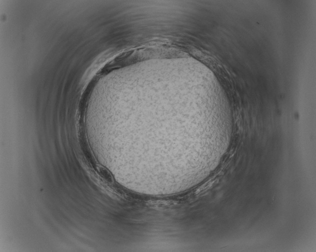 X0000078280242200612011751