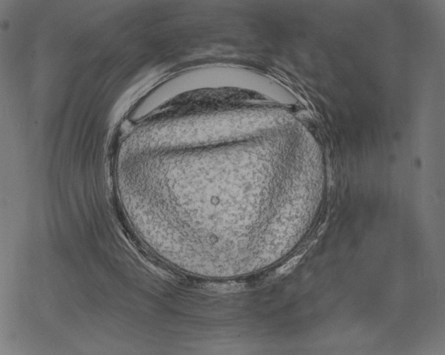 X0000078280245200612011751