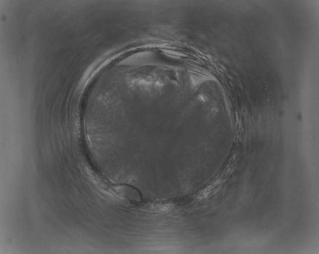 X0000078280247200612011751