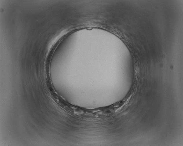 X0000078280248200612011751