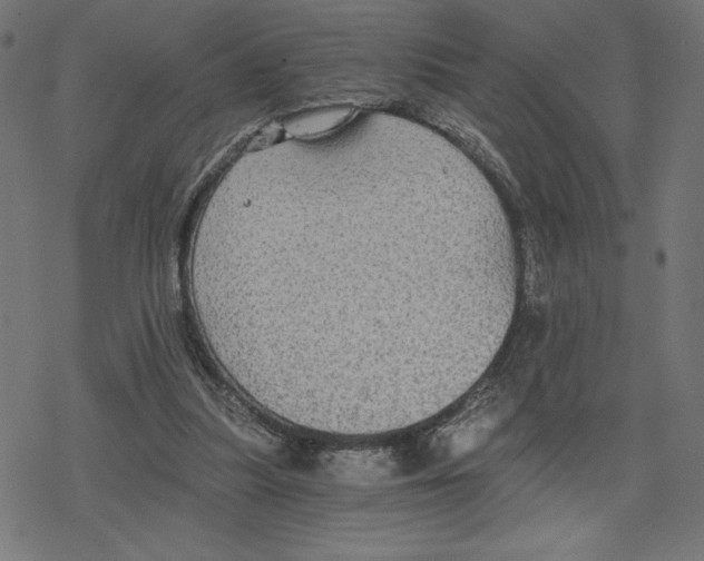 X0000078280251200612011751