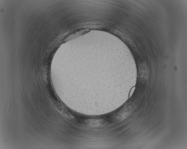 X0000078280255200612011751