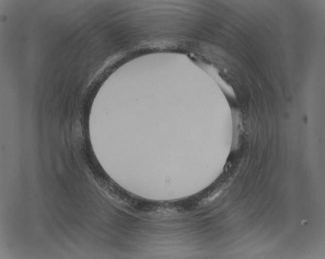 X0000078280256200612011751