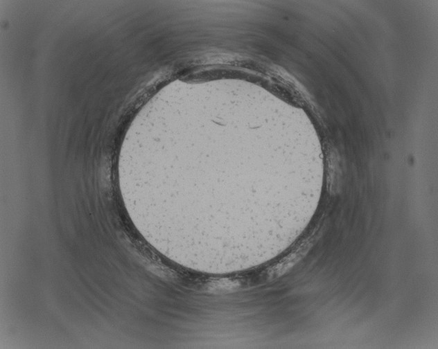 X0000078280257200612011751