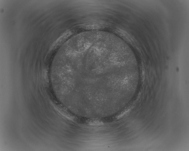 X0000078280258200612011751