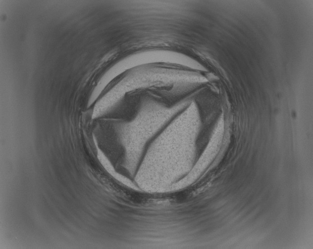 X0000078280260200612011751