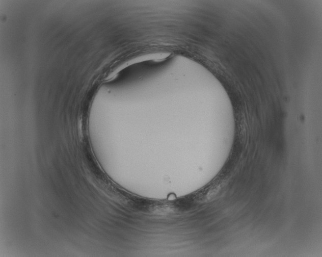 X0000078280262200612011751