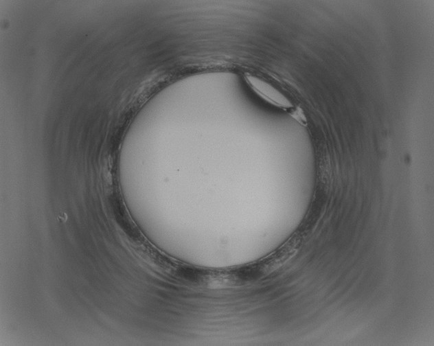 X0000078280264200612011751