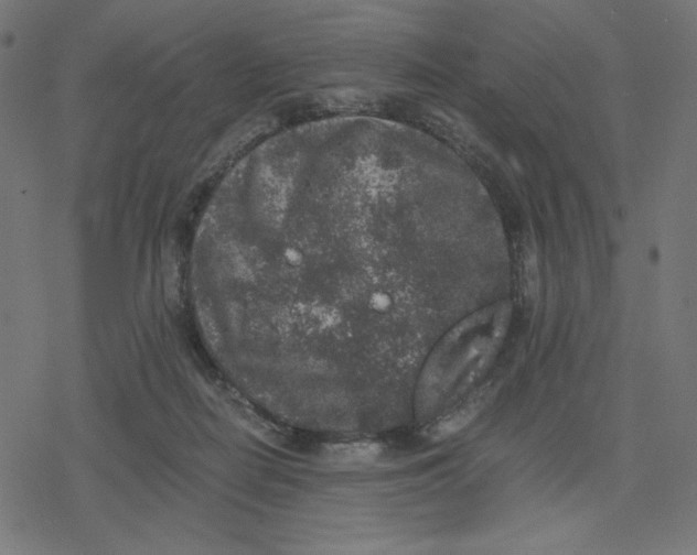 X0000078280266200612011751