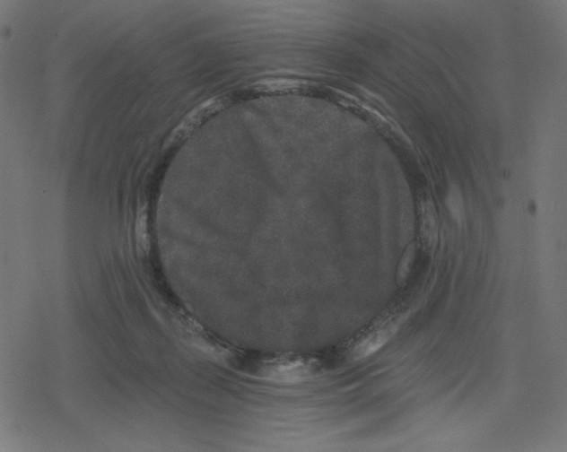 X0000078280267200612011751