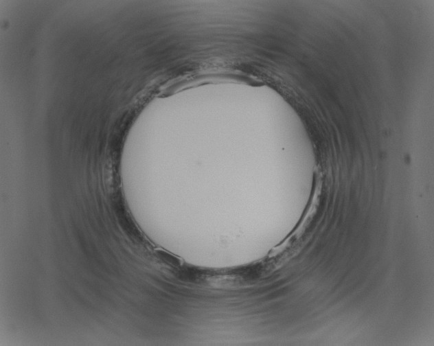 X0000078280268200612011751