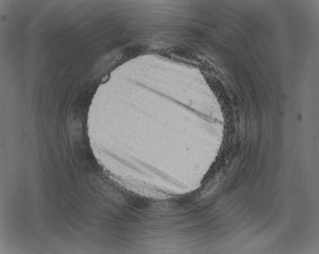 X0000078280269200612011751