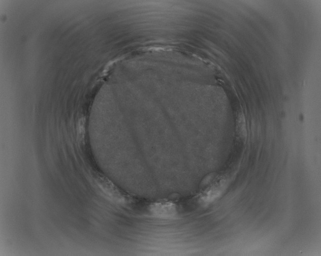 X0000078280271200612011751