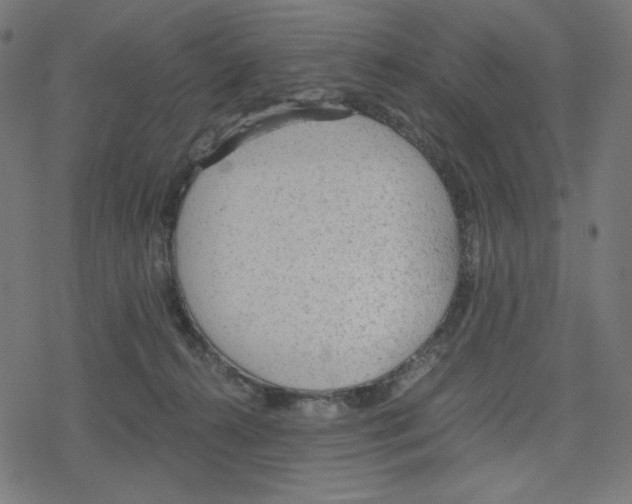 X0000078280272200612011751