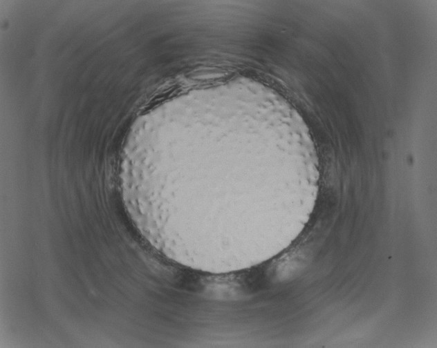 X0000078280273200612011751