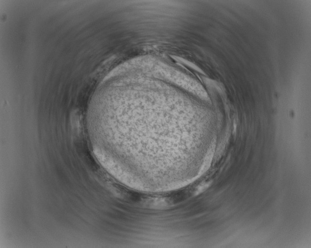 X0000078280276200612011752