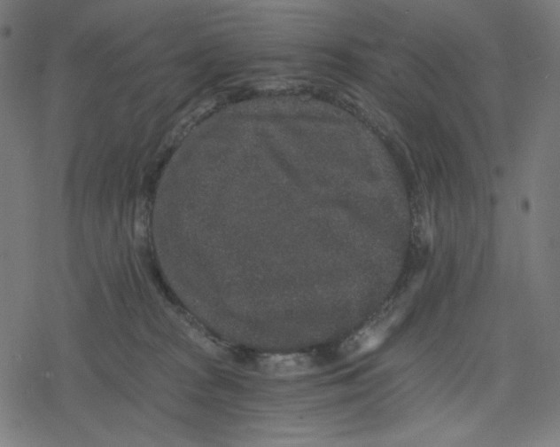 X0000078280277200612011752