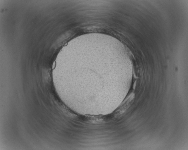 X0000078280278200612011752