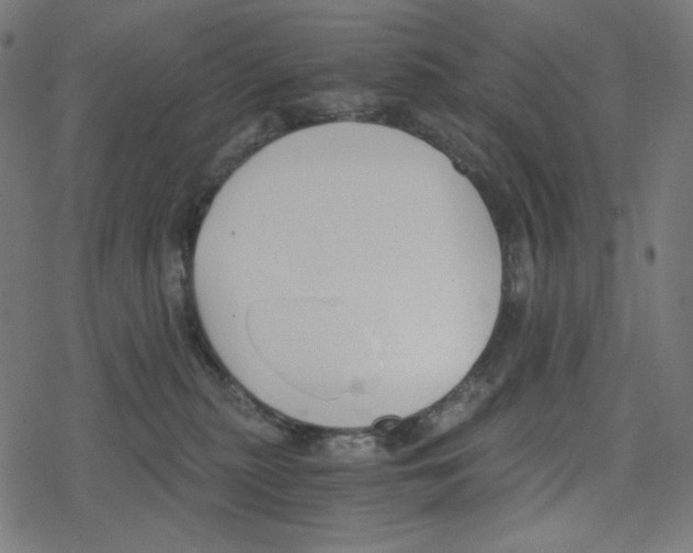 X0000078280279200612011752