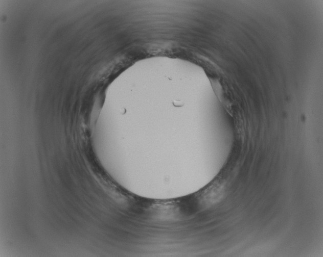 X0000078280280200612011752